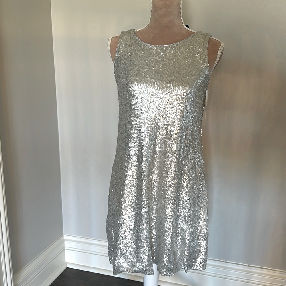 Elegant and delicate silver sequin dress!